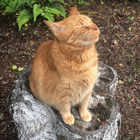 Meet your Posher, Erin - Picture 11 of 16